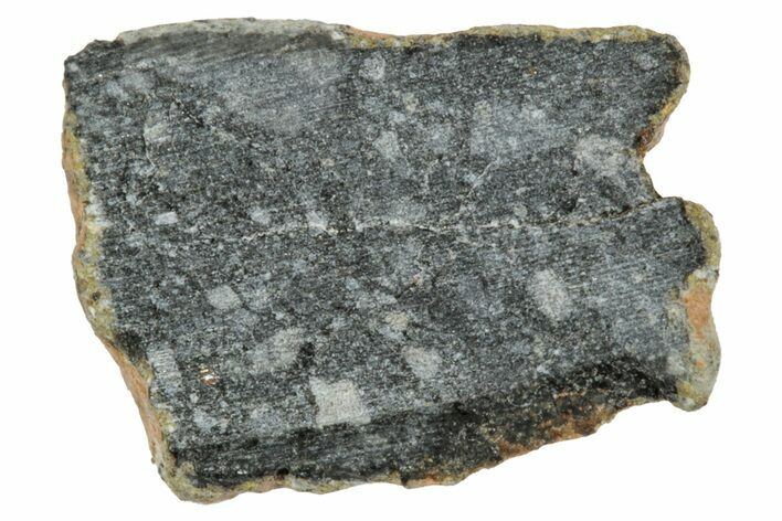 Polished Lunar Meteorite ( g) End Cut Slice - NWA #333148